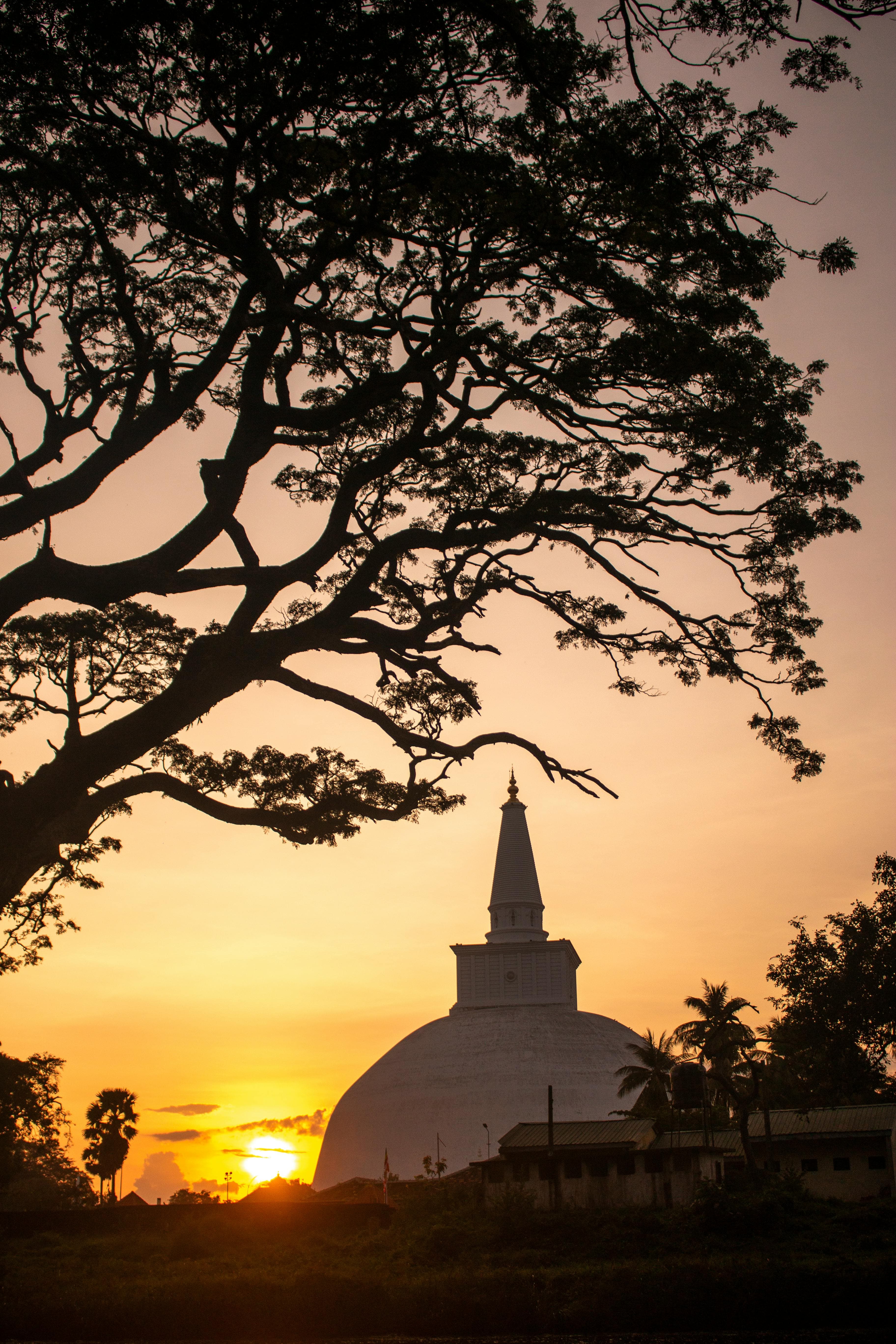 Ruwanwelisaya: The Great Stupa
