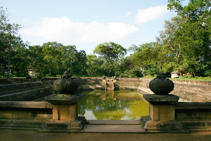 The Oldest Documented Tree in the World: Visiting the Sacred Jaya Sri Maha Bodhi