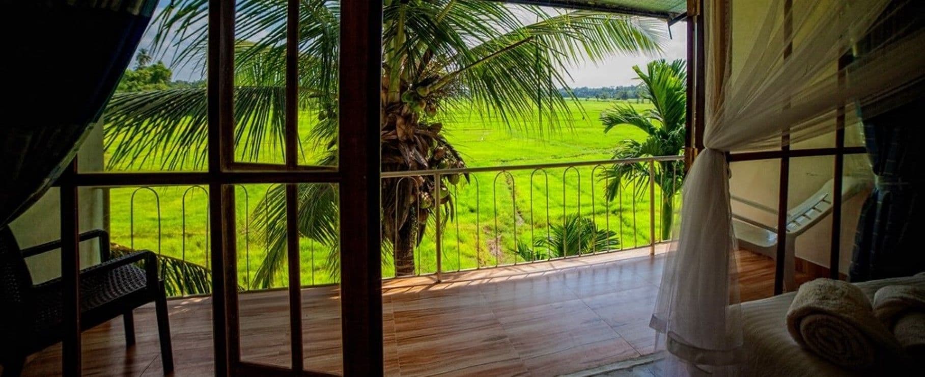 Heaven Upon Rice Fields